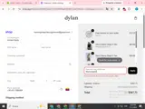 Dylan Clothing coupon verification screenshot