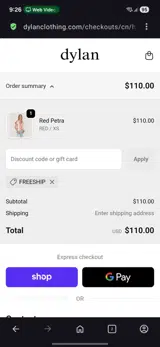 Dylan Clothing coupon verification screenshot