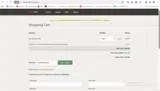 Dyn coupon verification screenshot