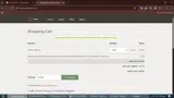 Dyn coupon verification screenshot