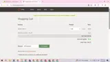 Dyn coupon verification screenshot