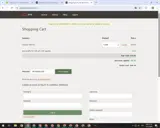 Dyn coupon verification screenshot
