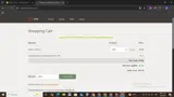 Dyn coupon verification screenshot
