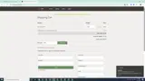 Dyn coupon verification screenshot