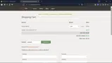 Dyn coupon verification screenshot