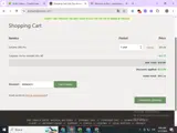 Dyn coupon verification screenshot