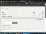 Dyn coupon verification screenshot