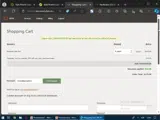 Dyn coupon verification screenshot