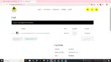 SAVE100 coupon verification screenshot