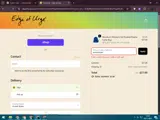 Edge of Urge coupon verification screenshot