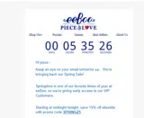 SPRING25 coupon verification screenshot