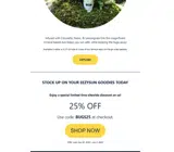 BUGS25 coupon verification screenshot
