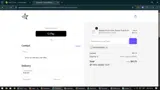 Electra Mirrors coupon verification screenshot