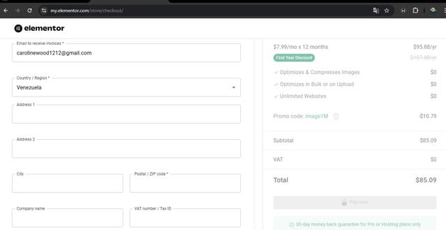 Elementor checkout page showing Elementor discount code box | Screenshot taken by SimplyCodes community member on Jun 4, 2025