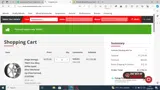 Element Wheels coupon verification screenshot