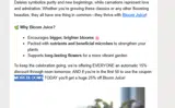 Elm Dirt coupon verification screenshot