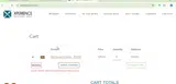 FREEDEL coupon verification screenshot