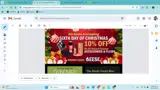 GEESE coupon verification screenshot