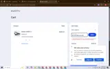 BLACKFRIDAY2025 coupon verification screenshot