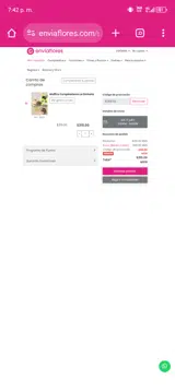 EGRATIS coupon verification screenshot