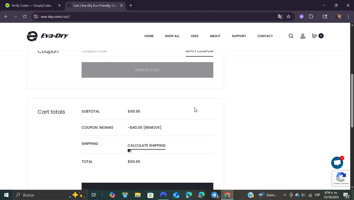 Eva- Dry checkout page showing Eva- Dry coupon code box | Screenshot taken by SimplyCodes community member on Oct 15, 2025