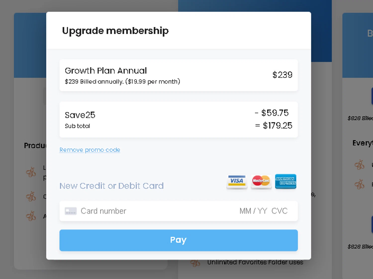 EverBee checkout page showing EverBee promo code box | Screenshot taken by SimplyCodes community member on Oct 11, 2024