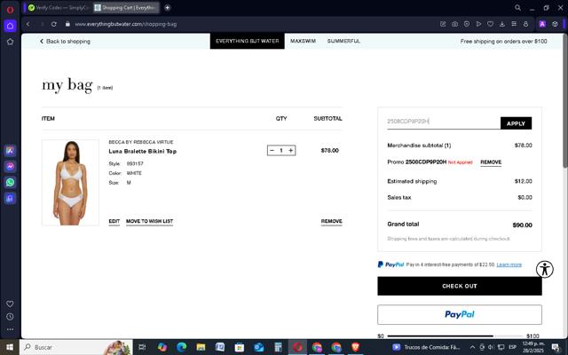 Everything But Water checkout page showing Everything But Water promo code box | Screenshot taken by SimplyCodes community member on Feb 28, 2025