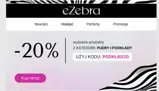 Ezebra coupon verification screenshot