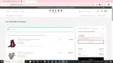 FALKE20 coupon verification screenshot