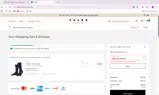 Falke coupon verification screenshot
