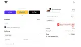 Fallen Footwear coupon verification screenshot