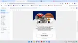 Fanz Collectibles coupon verification screenshot