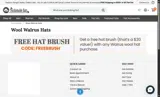 FREEBRUSH coupon verification screenshot