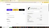 Fashion Fitz coupon verification screenshot