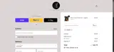 Fashion Fitz coupon verification screenshot