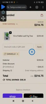 Grounded coupon verification screenshot