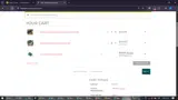FPSSPIN20WIN coupon verification screenshot