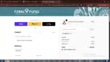 ENERGY10 coupon verification screenshot