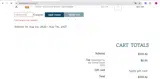 Celebrate10 coupon verification screenshot