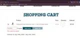 V3FPBFB2 coupon verification screenshot
