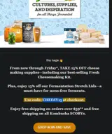 CHEESY15 coupon verification screenshot