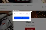findmall coupon verification screenshot