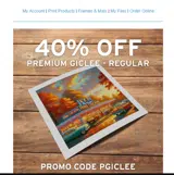 PGICLEE coupon verification screenshot