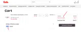 Fissler US coupon verification screenshot