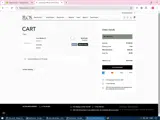 WELCOME10 coupon verification screenshot