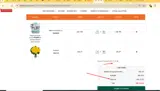 BRINGITBACK coupon verification screenshot