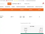 DCS10 coupon verification screenshot