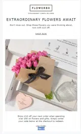 FBX10 coupon verification screenshot