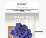 HELLO-HYDRANGEA coupon verification screenshot