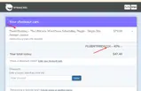 FLUENTFRIDAY24 coupon verification screenshot